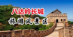 艹逼直播中国北京-八达岭长城旅游风景区